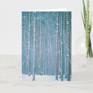 NA, VS, WY. Sneeuwse winterscène Feestdagen Kaart