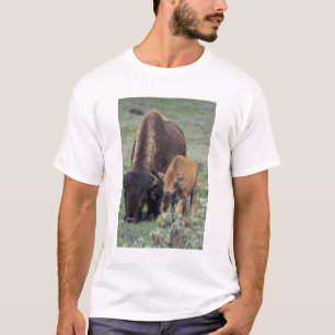 NA, VS, Wyoming, Yellowstone National Park. T-shirt