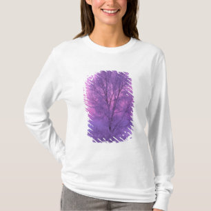 NA, VS, Wyoming, Yellowstone NP, Landschap T-shirt