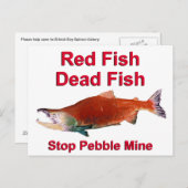 Na zalm - Stop Pebble Mine Briefkaart (Voorkant / Achterkant)