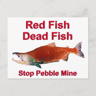 Na zalm - Stop Pebble Mine Briefkaart