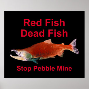 Na zalm - Stop Pebble Mine Poster
