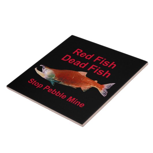 Na zalm - Stop Pebble Mine Tegeltje (Zijkant)