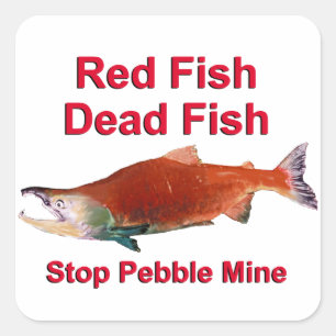 Na zalm - Stop Pebble Mine Vierkante Sticker