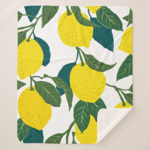 Naadloos citruspatroon.  met de hand getrokken wal sherpa deken