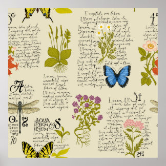  naadloos patroon met handgeschreven tekst Lor Poster