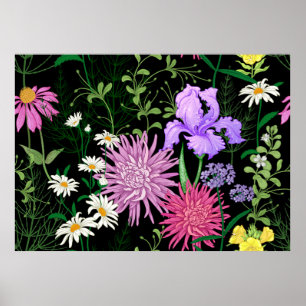 Naadloos zomerpatroon. Wilde bloemen kamille, h Poster