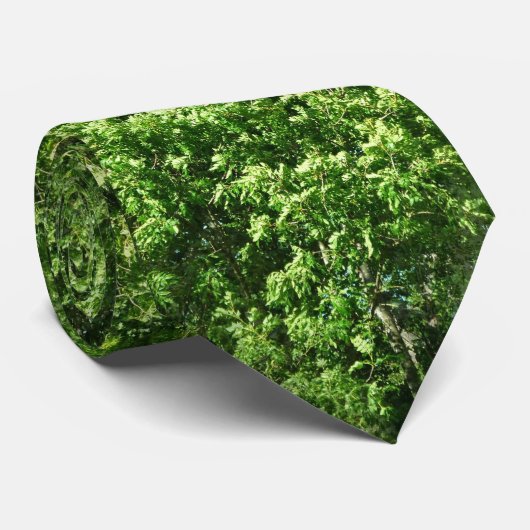 Naadloze bomen stropdas (Opgerold)