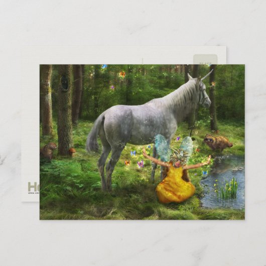 Naai 2 - Carte postale (Devant / Derrière)