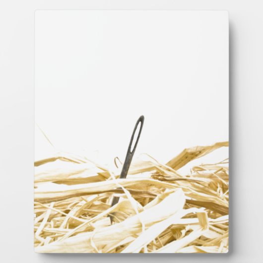 naald in een hooiberg fotoplaat (Voorkant)