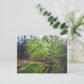 naalden briefkaart (Staand voorkant)