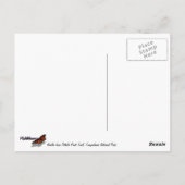 Naalden van Pothole Point Trail Briefkaart (Achterkant)