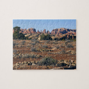 Naalden van Pothole Point Trail in Canyonlands Legpuzzel