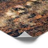 Naalden van Pothole Point Trail Poster (Hoek)