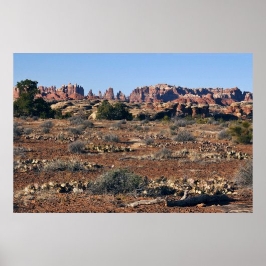 Naalden van Pothole Point Trail Poster (Voorkant)