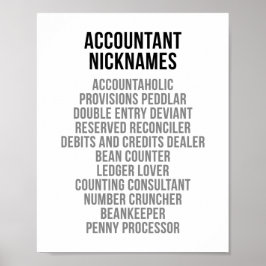 Naam accountant poster