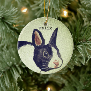 Naam Bunny rabbit Pet Animal Waterverf Keramisch Ornament