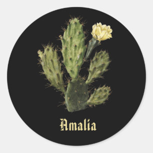 Naam Cactus Flower Drawing Black Sticker