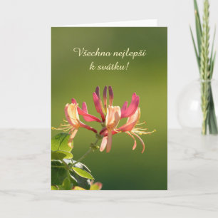 Naam Day-kaart in het Tsjechisch Kaart