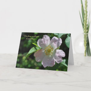 Naam Day-kaart in het Tsjechisch Kaart