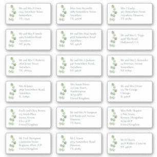 Naam en adres van individuele ontvanger EUCAyptus Sticker