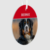 Naam en foto van Berner Sennenhond Kerstmis Ornament (voorkant)