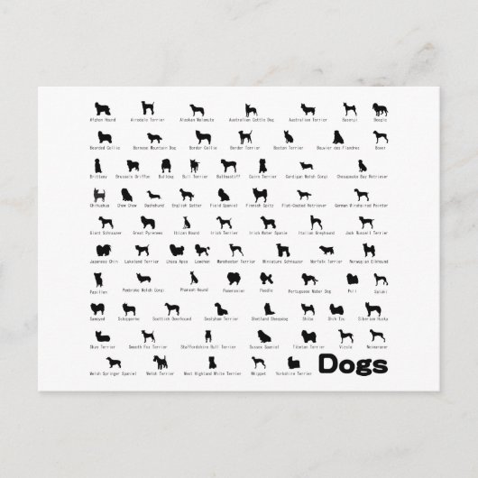 Naam honden briefkaart (Voorkant)
