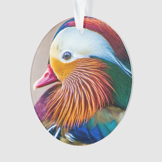 Naam Mandarin Duck Monogram Ornament (voorkant)