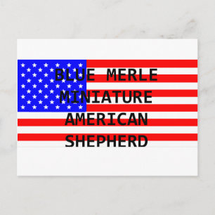 naam mini aussie op vlag blauwe merle briefkaart