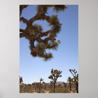 Naar beneden aan de voorkant poster