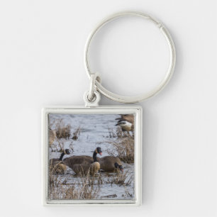 Naar binnen verplaatsen sleutelhanger