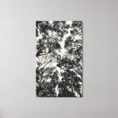 Naar boven, 2018 | SVP-Afbeeldingen Canvas Afdruk (Voorkant)