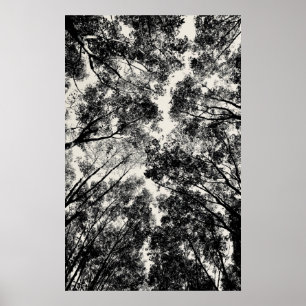 Naar boven, 2018 SVP-Afbeeldingen Poster