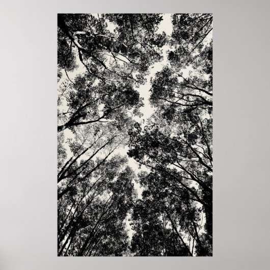 Naar boven, 2018 | SVP-Afbeeldingen Poster (Voorkant)