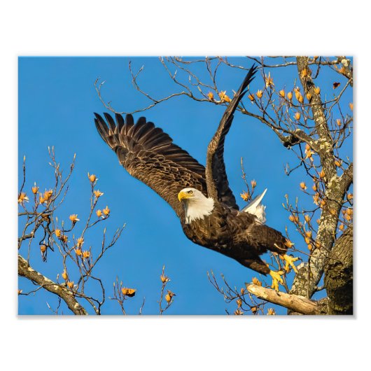 Naar boven en naar hen foto afdruk (Voorkant)