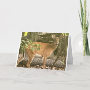 "NAAR BUITEN KIJKEN OM GELUKKIGE VERJAARDAG TE ZEG KAART