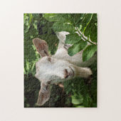 Naar camera kijken legpuzzel (Verticaal)