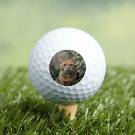 Naar de beste kat-pap ooit aangepaste foto golfballen (Insitu Shirt)