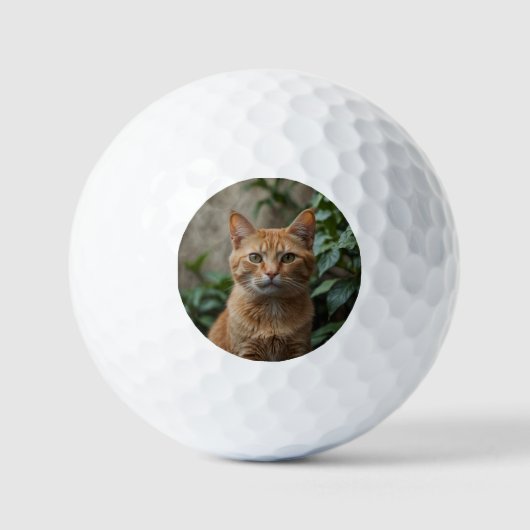Naar de beste kat-pap ooit aangepaste foto golfballen (Voorkant)