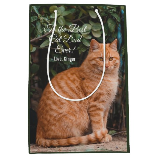Naar de beste kat-pap ooit aangepaste foto medium cadeauzakje (Voorkant)
