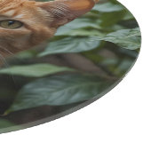 Naar de beste kat-pap ooit aangepaste foto snijplank (Hoek)