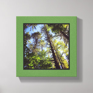 Naar de Bomen kijken Canvas Afdruk