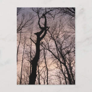 naar de hemel briefkaart