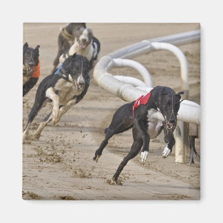 Naar de lijn rennen magneet