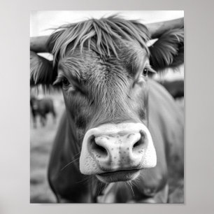 Naar de Ranch Cow Zwart en Wit Poster