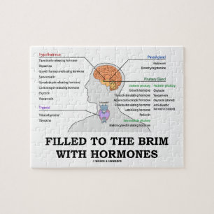 Naar de rand van de maag gevlogen met een medische legpuzzel