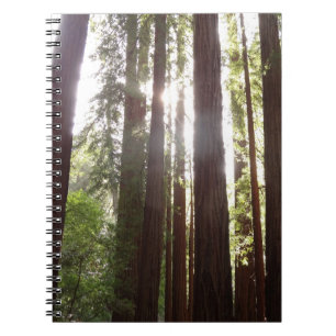 Naar de rode bomen in de ochtend notitieboek