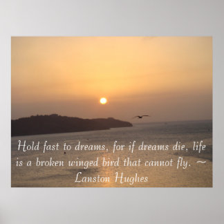 Naar de zon vliegen poster