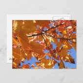 Naar een Briefkaart in de lucht (Voorkant / Achterkant)