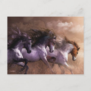 Naar het Briefkaart Vrijheid